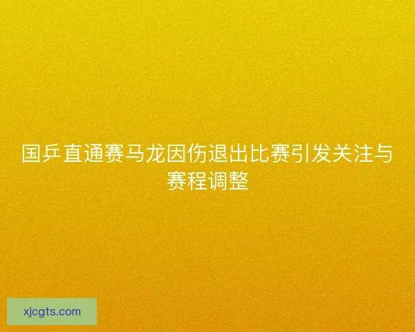 国乒直通赛马龙因伤退出比赛引发关注与赛程调整